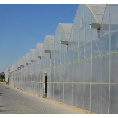Multi Span Agricultural Film Green House with Factory Direct Sale