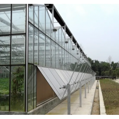 China Supplier Multi-Span Glass Greenhouse for Hot Sale