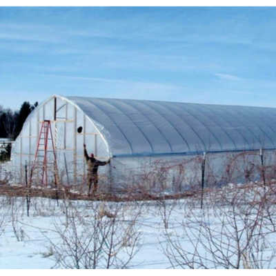 Large 10 Meters Plastic Film Greenhouse, Vegetables Greenhouse