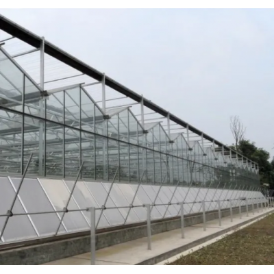 Large Multi-Span PC Greenhouse for Vegetable