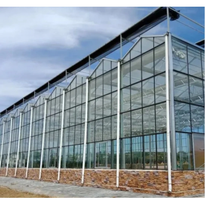 Glass Greenhouse for Flowers and Vegetable Planting