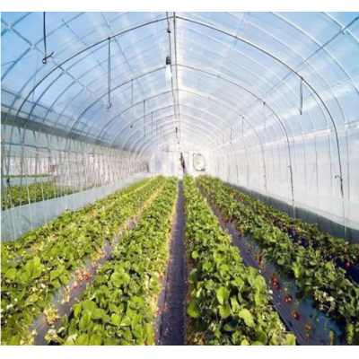 Tunnel Plastic Film PC PE Polytunnel Greenhouse Material Hydroponics System Planting Tools