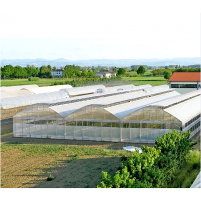 Greenhouse with Plastic Film