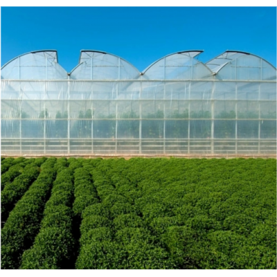 Film PC PE Plastic Greenhouses Polycarbonate Sheet