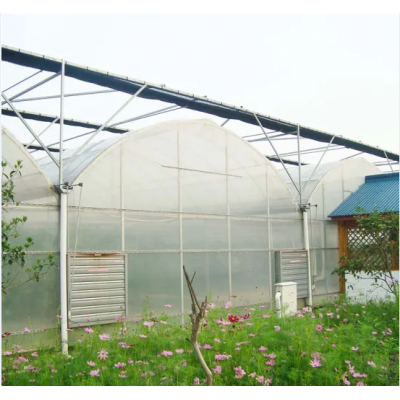 Agriculture Multi-Span Film Greenhouse for Tomatoes with Irrigation System