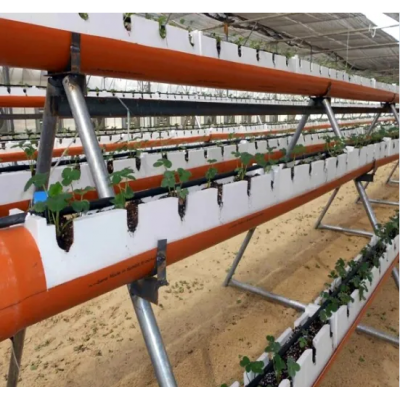 China Commercial Wholesale Hydroponics System for Greenhouse