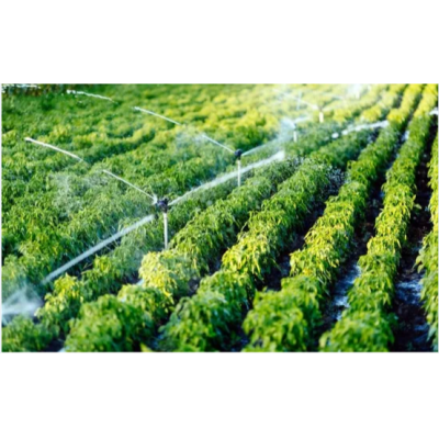 Dripping Irrigation Equipment for Agriculture Greenhouse