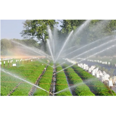 Dripping Irrigation Equipment for Agriculture Greenhouse