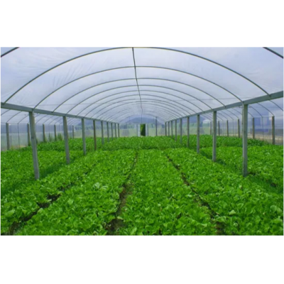 Hydroponic System with Plastic Film/ Venlo Po Film Greenhouse for The Farm Plants