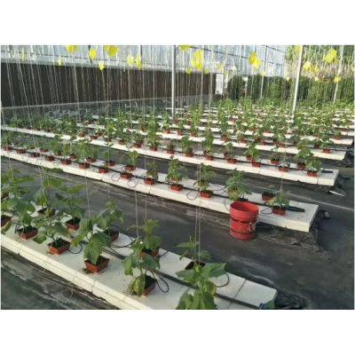 China Commercial Wholesale Hydroponics System for Greenhouse