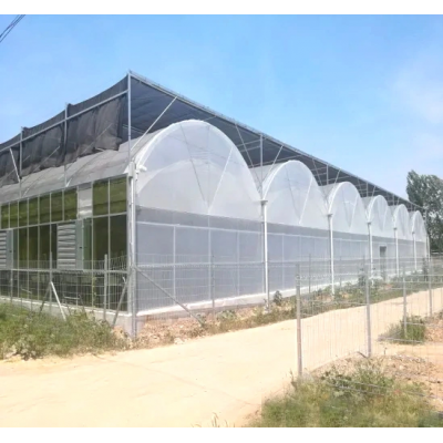 Multi Span Agricultural Film Hydroponics Irrigation System Plastic Film /Po film Greenhouse for Sale