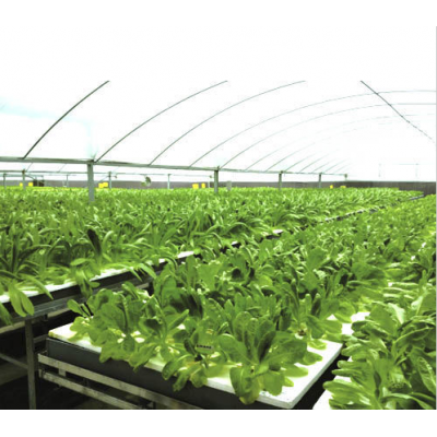 Irrigation Hydroponics System Planting Tools Film Greenhouse for Agriculture/ Farming