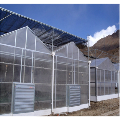 Polycarbonate Material Polycarbonate Sheet PC Used Commercial Greenhouse