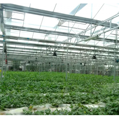 Scientific Research Greenhouse for Sale in Kuwait