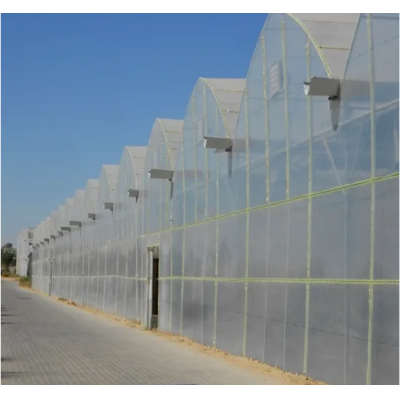 Multi-Span Film Greenhouse Commercial Agriculture Greenhouse for Sale