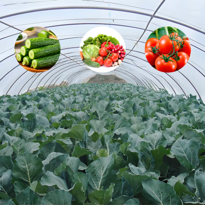 flower greenhouse