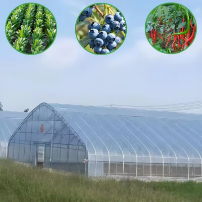agricultural film,arch structure greenhouse,commercial agriculture,commercial horticulture,crop protection