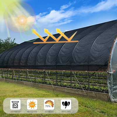 agricultural film,flower greenhouse,galvanized steel frame,greenhouse farming,horticultural structures