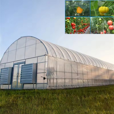 anti-drip PE film,bolt-together assembly,commercial vegetable growing,heavy duty galvanized frame,snow load engineered