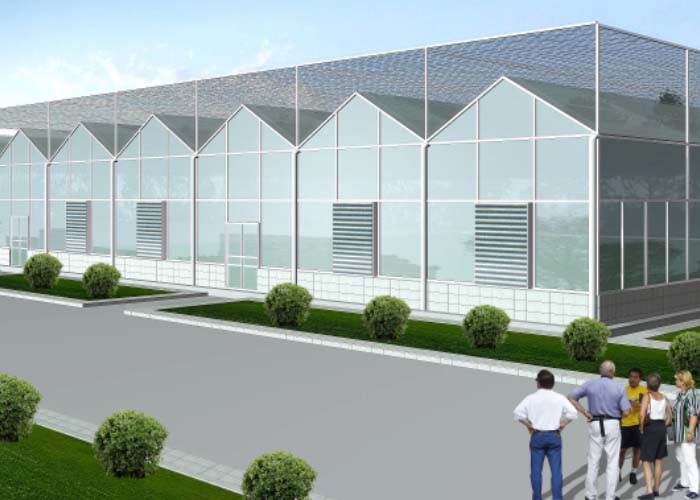 Rendering of a Venlo polycarbonate greenhouse with landscaped approach and ventilation windows