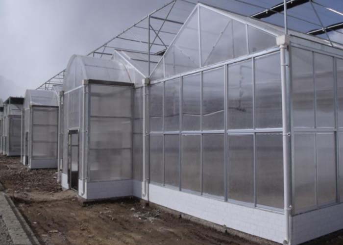 Venlo polycarbonate sheet greenhouse under construction with glazing panels fitted